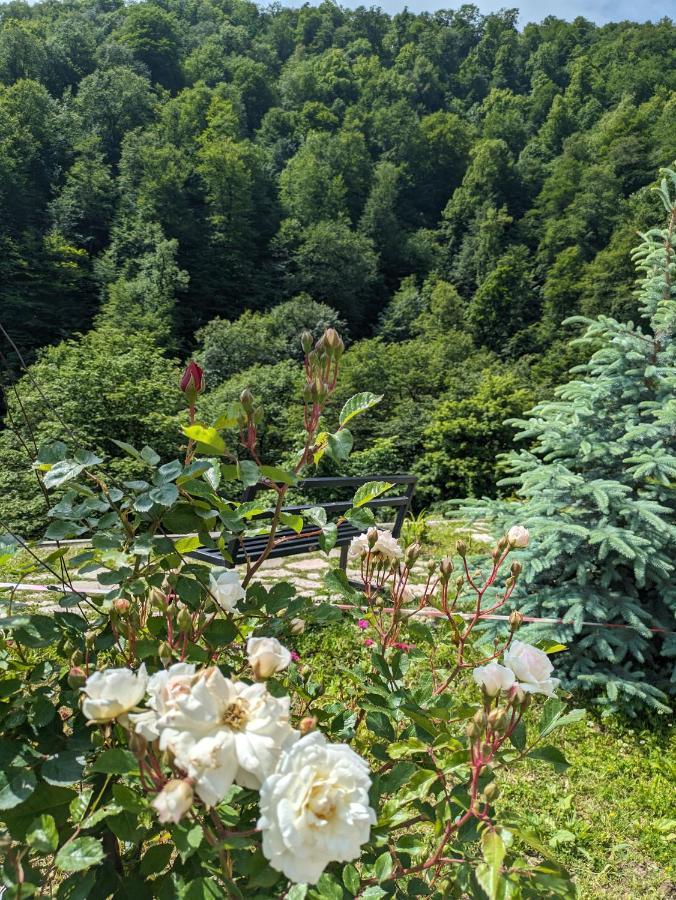 Hotel Vanatun, Haghartsin Monastery Teghut Εξωτερικό φωτογραφία