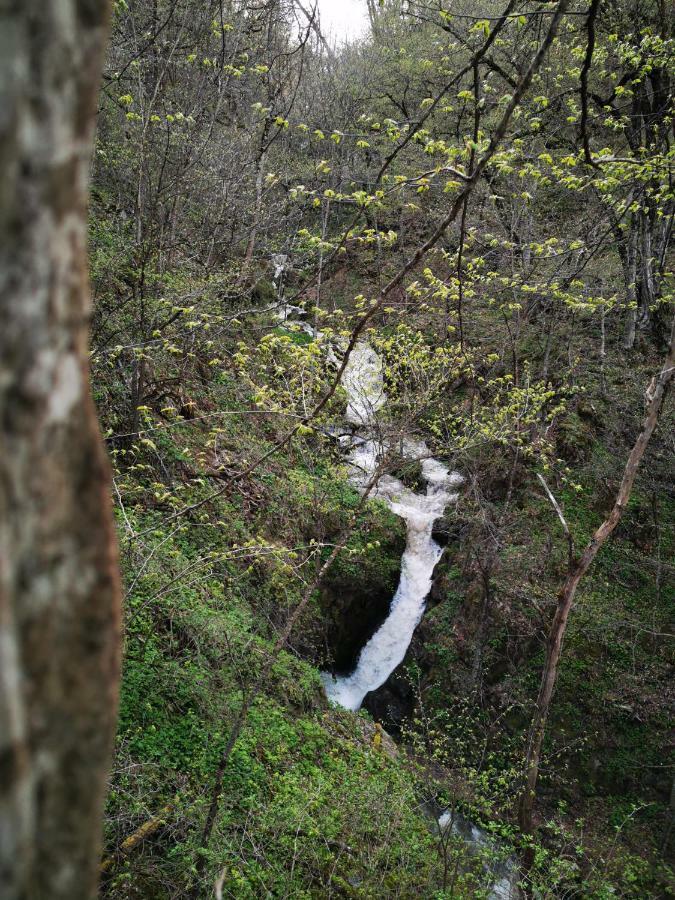 Hotel Vanatun, Haghartsin Monastery Teghut Εξωτερικό φωτογραφία